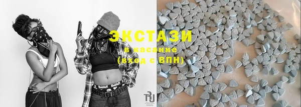 индика Елабуга