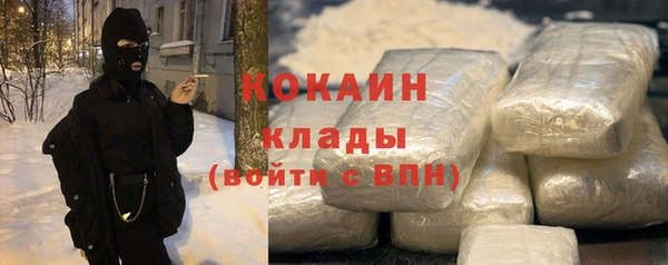 индика Елабуга