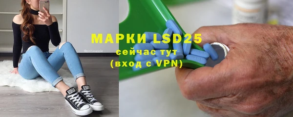 индика Елабуга