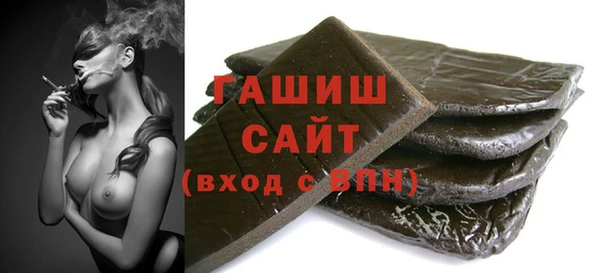 индика Елабуга