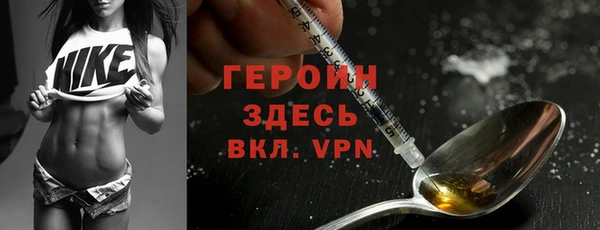 индика Елабуга