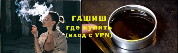 индика Елабуга