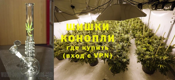 ПСИЛОЦИБИНОВЫЕ ГРИБЫ Елизово
