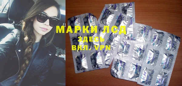 индика Елабуга