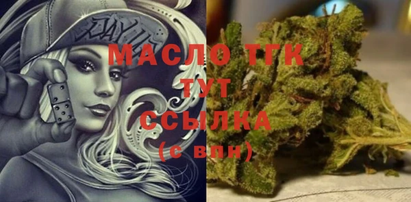 индика Елабуга