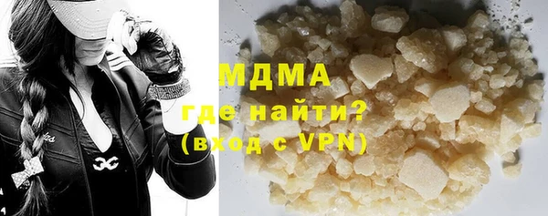 индика Елабуга
