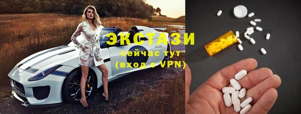индика Елабуга