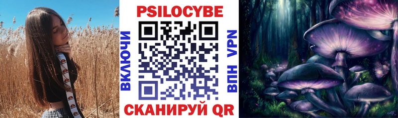 Купить закладки  Чишмы  Галлюциногенные грибы GOLDEN TEACHER 
