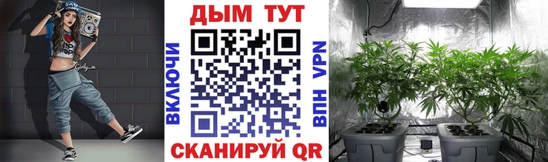 Марихуана марихуана  Купить закладки  Чишмы 